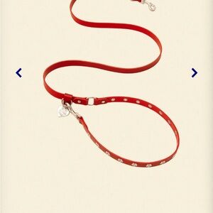 Stylish Red Dog Leash with Heart Charm